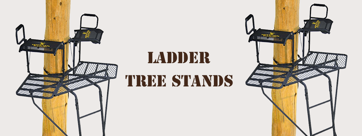 20 foot ladder tree stands
