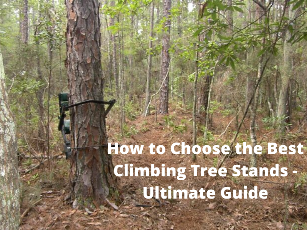 How to Choose the Best Climbing Tree Stands - Ultimate Guide