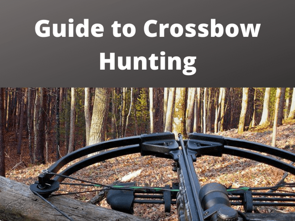 Guide to Crossbow Hunting (1)