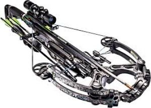 Compound Crossbows